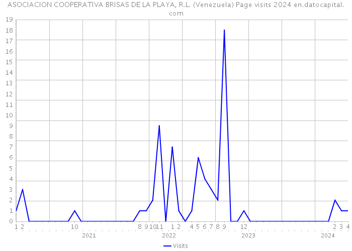 ASOCIACION COOPERATIVA BRISAS DE LA PLAYA, R.L. (Venezuela) Page visits 2024 