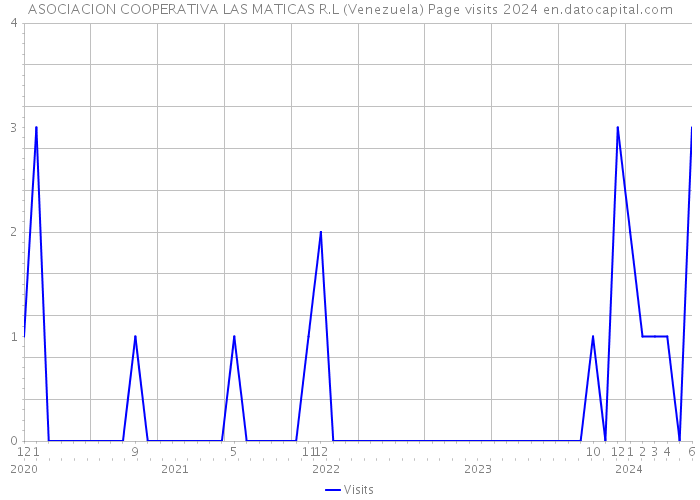 ASOCIACION COOPERATIVA LAS MATICAS R.L (Venezuela) Page visits 2024 