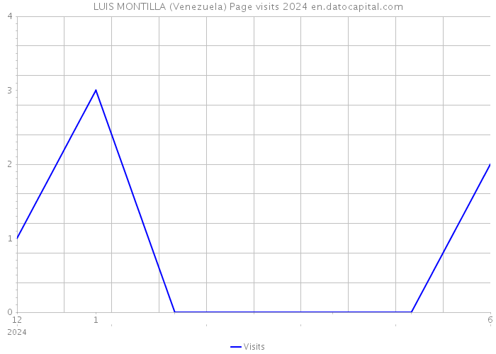 LUIS MONTILLA (Venezuela) Page visits 2024 