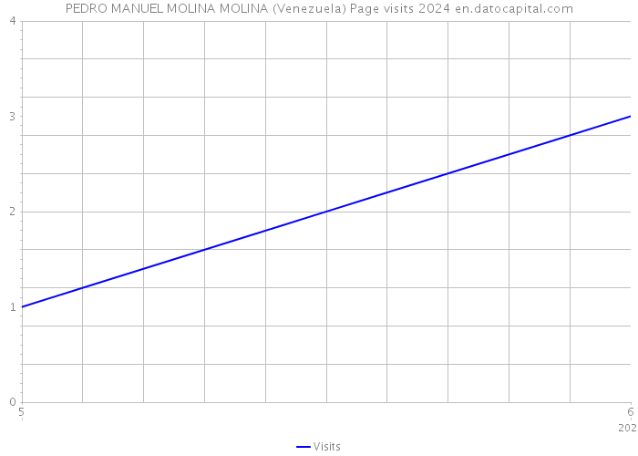 PEDRO MANUEL MOLINA MOLINA (Venezuela) Page visits 2024 