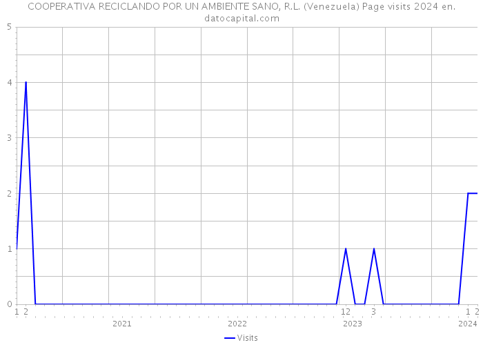 COOPERATIVA RECICLANDO POR UN AMBIENTE SANO, R.L. (Venezuela) Page visits 2024 