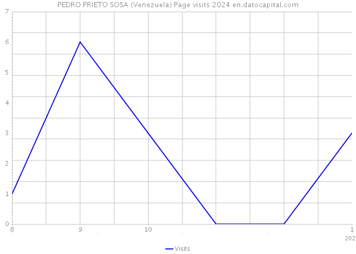 PEDRO PRIETO SOSA (Venezuela) Page visits 2024 