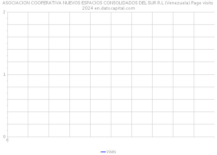 ASOCIACION COOPERATIVA NUEVOS ESPACIOS CONSOLIDADOS DEL SUR R.L (Venezuela) Page visits 2024 