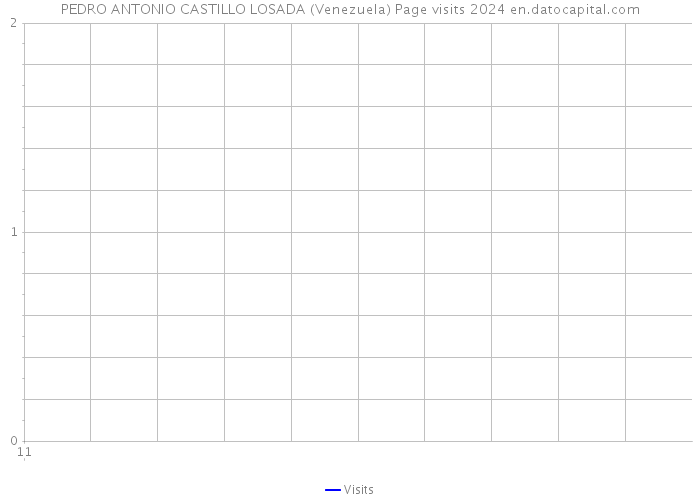 PEDRO ANTONIO CASTILLO LOSADA (Venezuela) Page visits 2024 