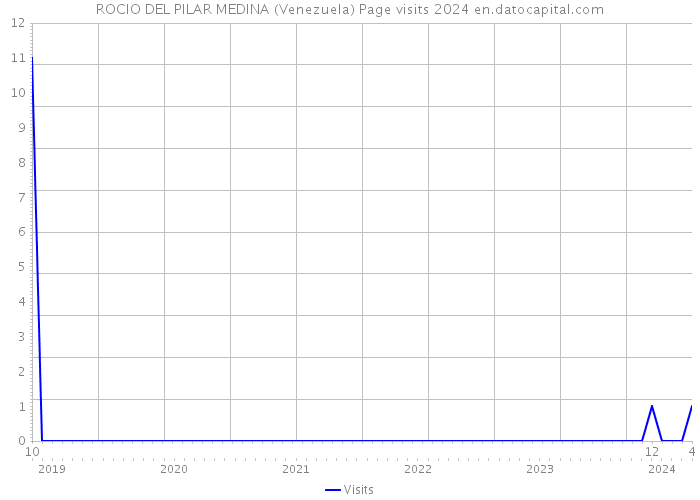 ROCIO DEL PILAR MEDINA (Venezuela) Page visits 2024 