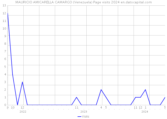 MAURICIO AMICARELLA CAMARGO (Venezuela) Page visits 2024 