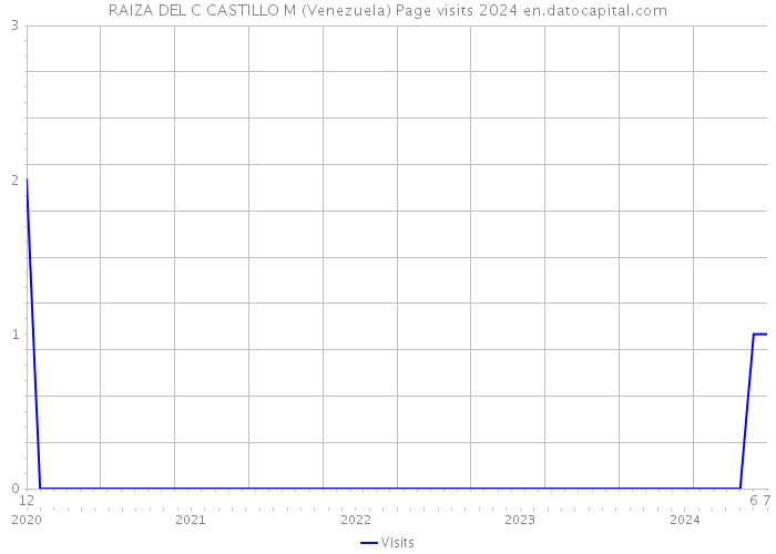 RAIZA DEL C CASTILLO M (Venezuela) Page visits 2024 