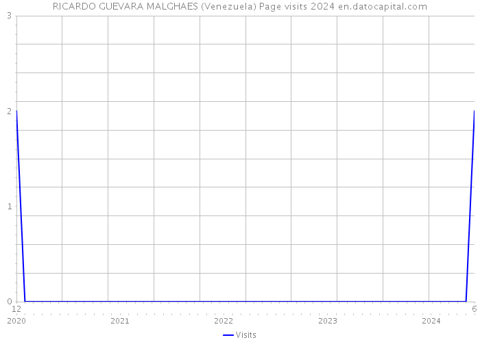 RICARDO GUEVARA MALGHAES (Venezuela) Page visits 2024 