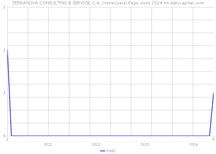 TERRANOVA CONSULTING & SERVICE, C.A. (Venezuela) Page visits 2024 