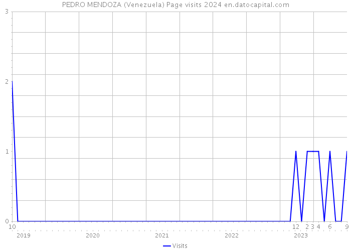 PEDRO MENDOZA (Venezuela) Page visits 2024 