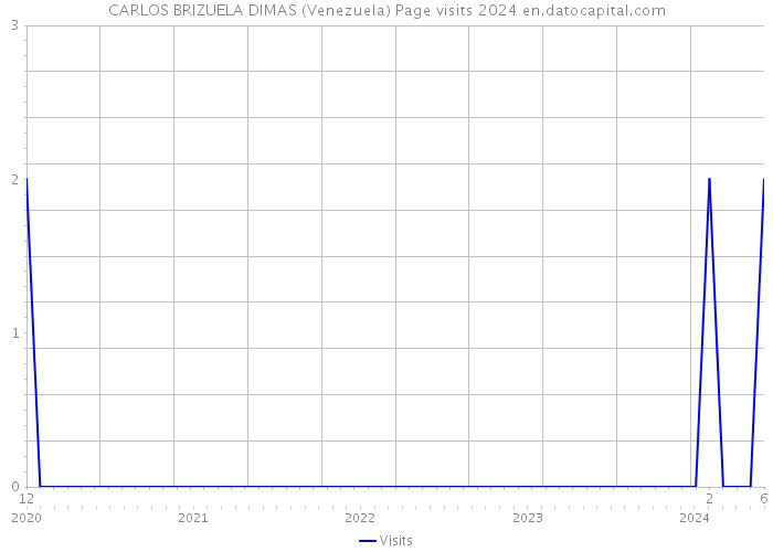 CARLOS BRIZUELA DIMAS (Venezuela) Page visits 2024 