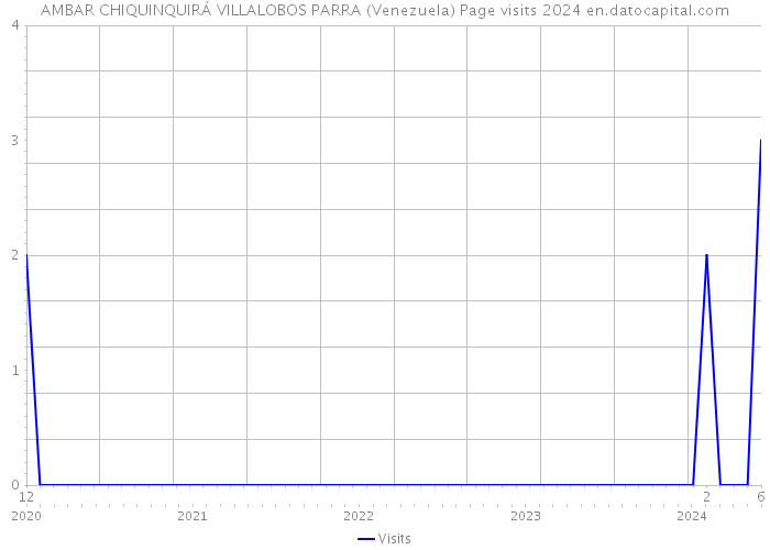 AMBAR CHIQUINQUIRÁ VILLALOBOS PARRA (Venezuela) Page visits 2024 