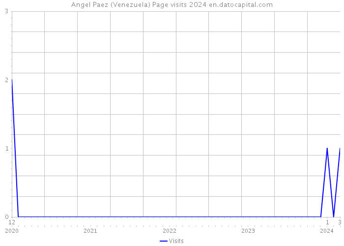 Angel Paez (Venezuela) Page visits 2024 