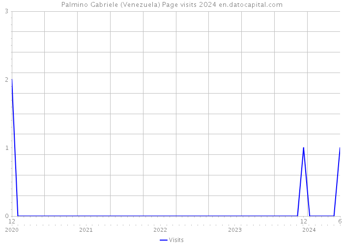 Palmino Gabriele (Venezuela) Page visits 2024 