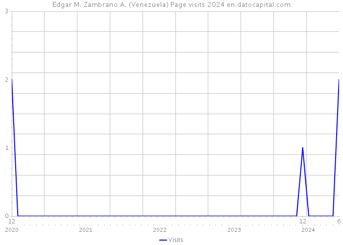 Edgar M. Zambrano A. (Venezuela) Page visits 2024 