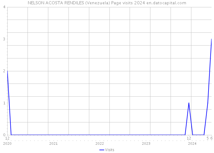 NELSON ACOSTA RENDILES (Venezuela) Page visits 2024 