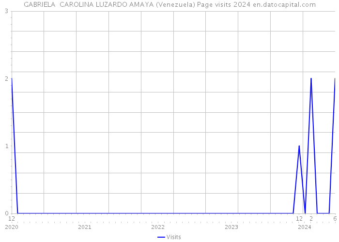 GABRIELA CAROLINA LUZARDO AMAYA (Venezuela) Page visits 2024 