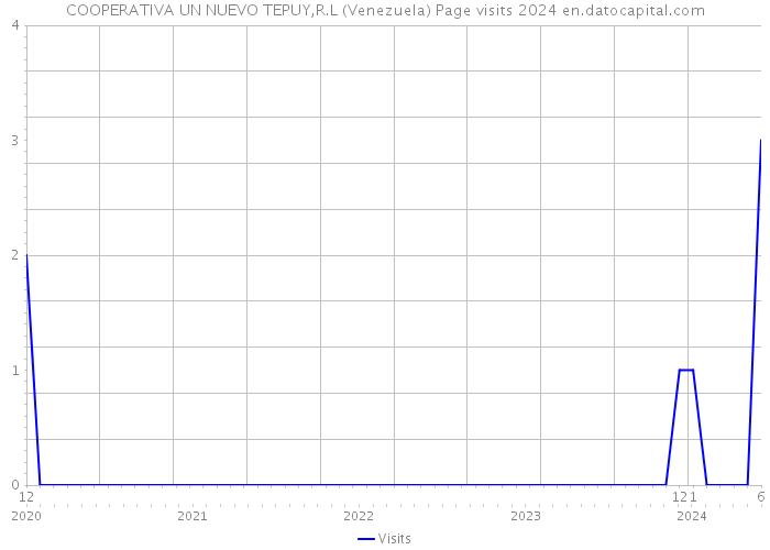 COOPERATIVA UN NUEVO TEPUY,R.L (Venezuela) Page visits 2024 