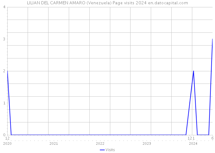 LILIAN DEL CARMEN AMARO (Venezuela) Page visits 2024 