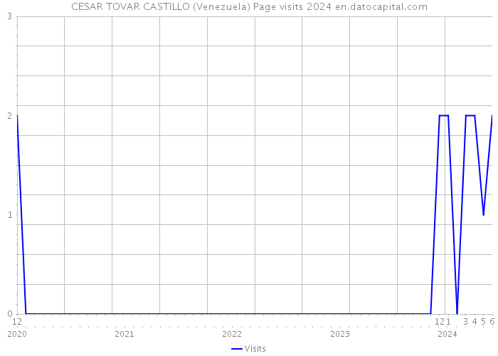 CESAR TOVAR CASTILLO (Venezuela) Page visits 2024 