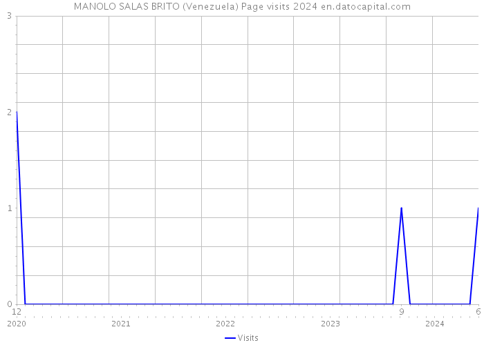 MANOLO SALAS BRITO (Venezuela) Page visits 2024 
