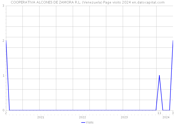 COOPERATIVA ALCONES DE ZAMORA R.L. (Venezuela) Page visits 2024 