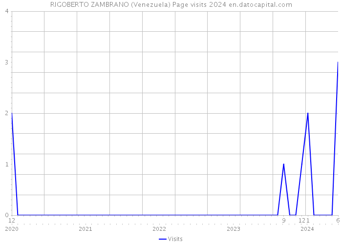 RIGOBERTO ZAMBRANO (Venezuela) Page visits 2024 