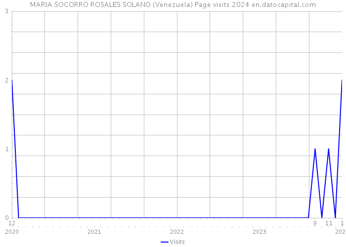 MARIA SOCORRO ROSALES SOLANO (Venezuela) Page visits 2024 