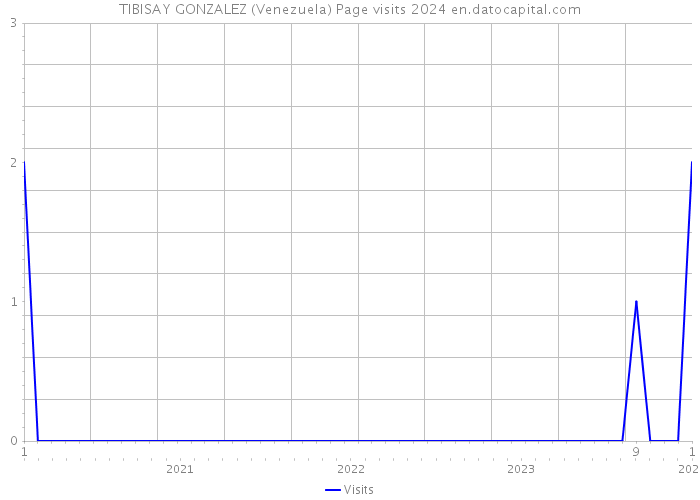 TIBISAY GONZALEZ (Venezuela) Page visits 2024 