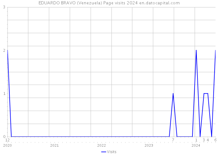 EDUARDO BRAVO (Venezuela) Page visits 2024 
