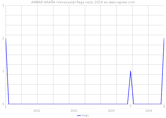 AMBAR ARAÑA (Venezuela) Page visits 2024 