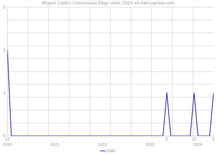 Miguel Castro (Venezuela) Page visits 2024 