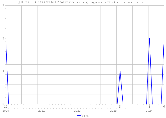 JULIO CESAR CORDERO PRADO (Venezuela) Page visits 2024 