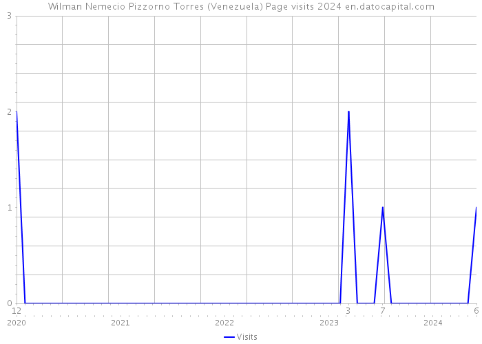 Wilman Nemecio Pizzorno Torres (Venezuela) Page visits 2024 