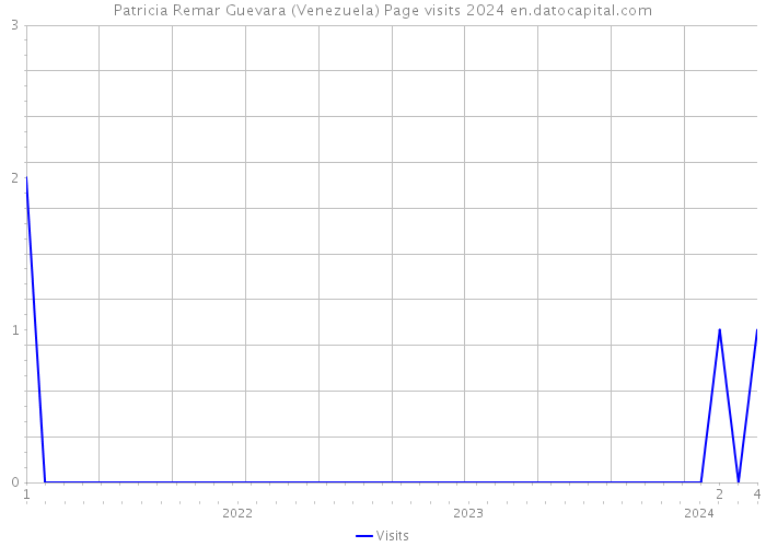 Patricia Remar Guevara (Venezuela) Page visits 2024 
