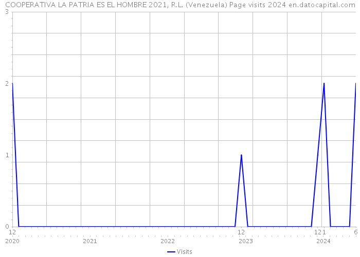 COOPERATIVA LA PATRIA ES EL HOMBRE 2021, R.L. (Venezuela) Page visits 2024 