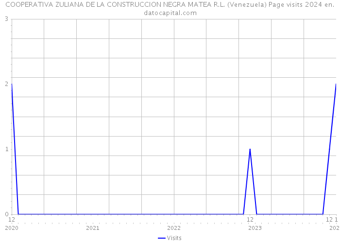 COOPERATIVA ZULIANA DE LA CONSTRUCCION NEGRA MATEA R.L. (Venezuela) Page visits 2024 