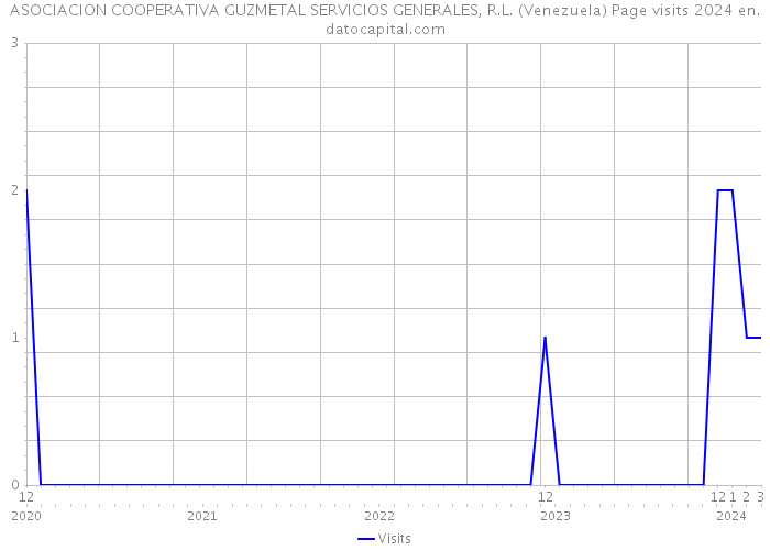 ASOCIACION COOPERATIVA GUZMETAL SERVICIOS GENERALES, R.L. (Venezuela) Page visits 2024 