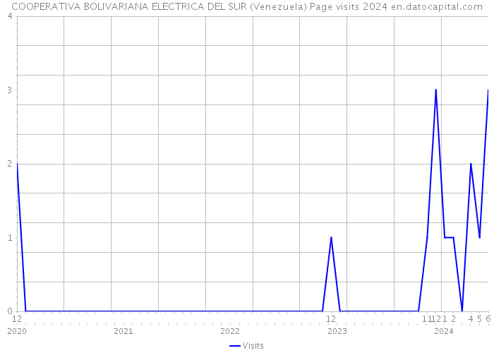 COOPERATIVA BOLIVARIANA ELECTRICA DEL SUR (Venezuela) Page visits 2024 