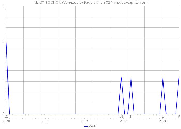 NEICY TOCHON (Venezuela) Page visits 2024 