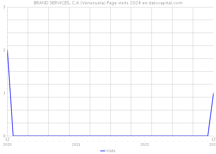 BRAND SERVICES, C.A (Venezuela) Page visits 2024 