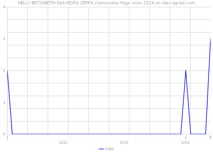 NELLY BETZABETH SAAVEDRA ZERPA (Venezuela) Page visits 2024 