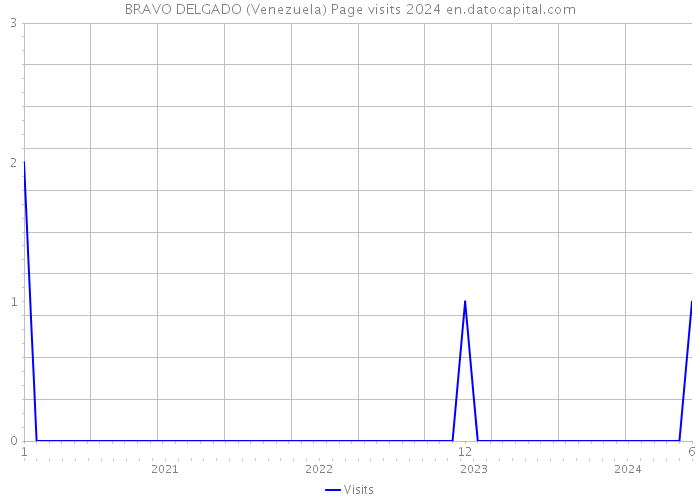 BRAVO DELGADO (Venezuela) Page visits 2024 