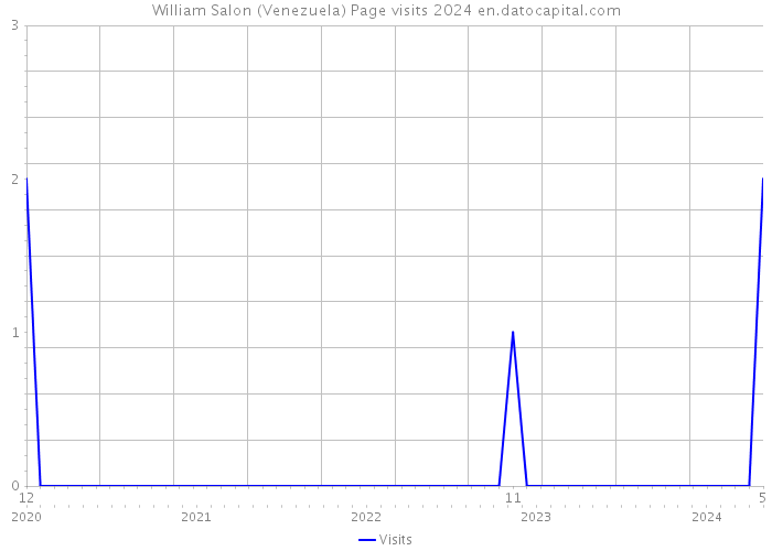 William Salon (Venezuela) Page visits 2024 