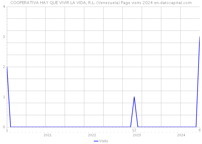 COOPERATIVA HAY QUE VIVIR LA VIDA, R.L. (Venezuela) Page visits 2024 