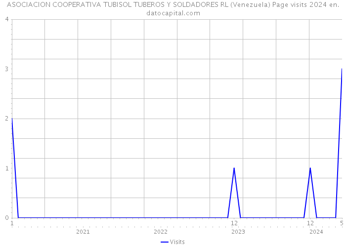 ASOCIACION COOPERATIVA TUBISOL TUBEROS Y SOLDADORES RL (Venezuela) Page visits 2024 