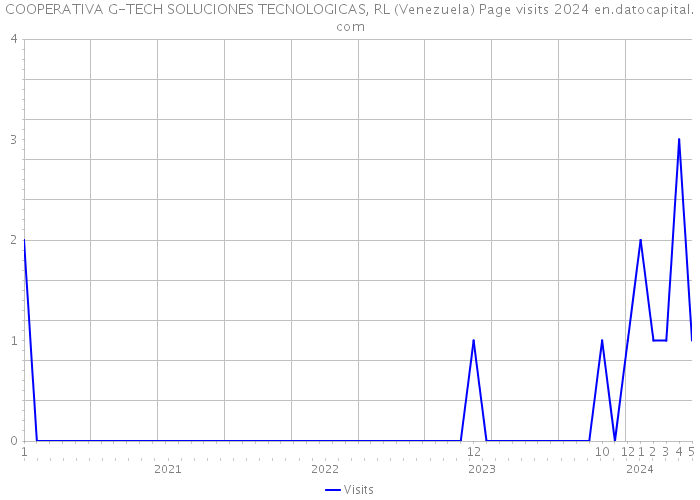COOPERATIVA G-TECH SOLUCIONES TECNOLOGICAS, RL (Venezuela) Page visits 2024 