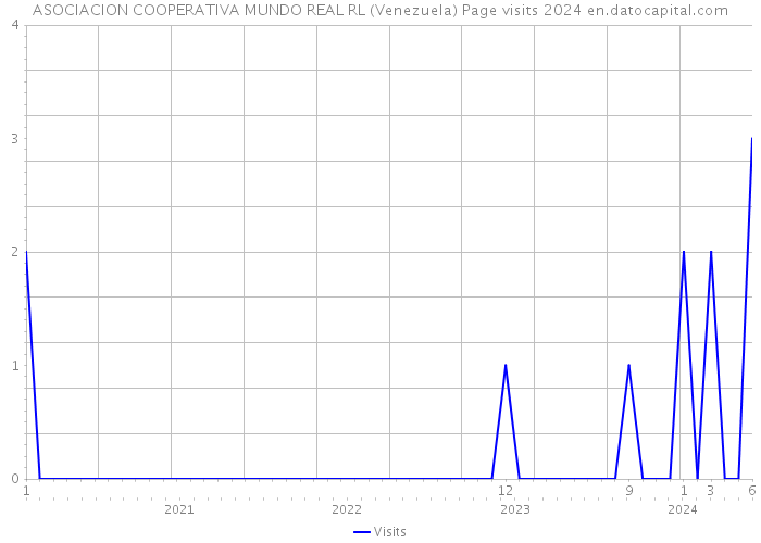 ASOCIACION COOPERATIVA MUNDO REAL RL (Venezuela) Page visits 2024 