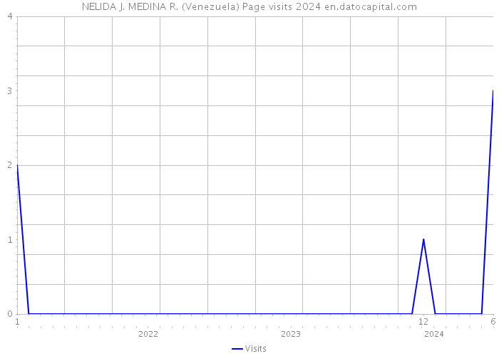 NELIDA J. MEDINA R. (Venezuela) Page visits 2024 