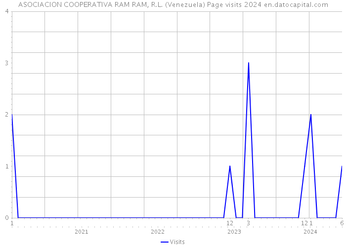 ASOCIACION COOPERATIVA RAM RAM, R.L. (Venezuela) Page visits 2024 